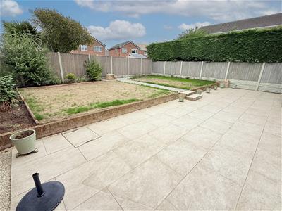Picture 11